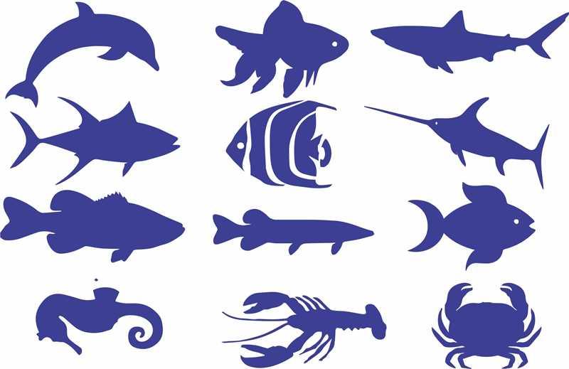 Sea Animals Reusable Stencil For Canvas And Wall Painting.ID#134