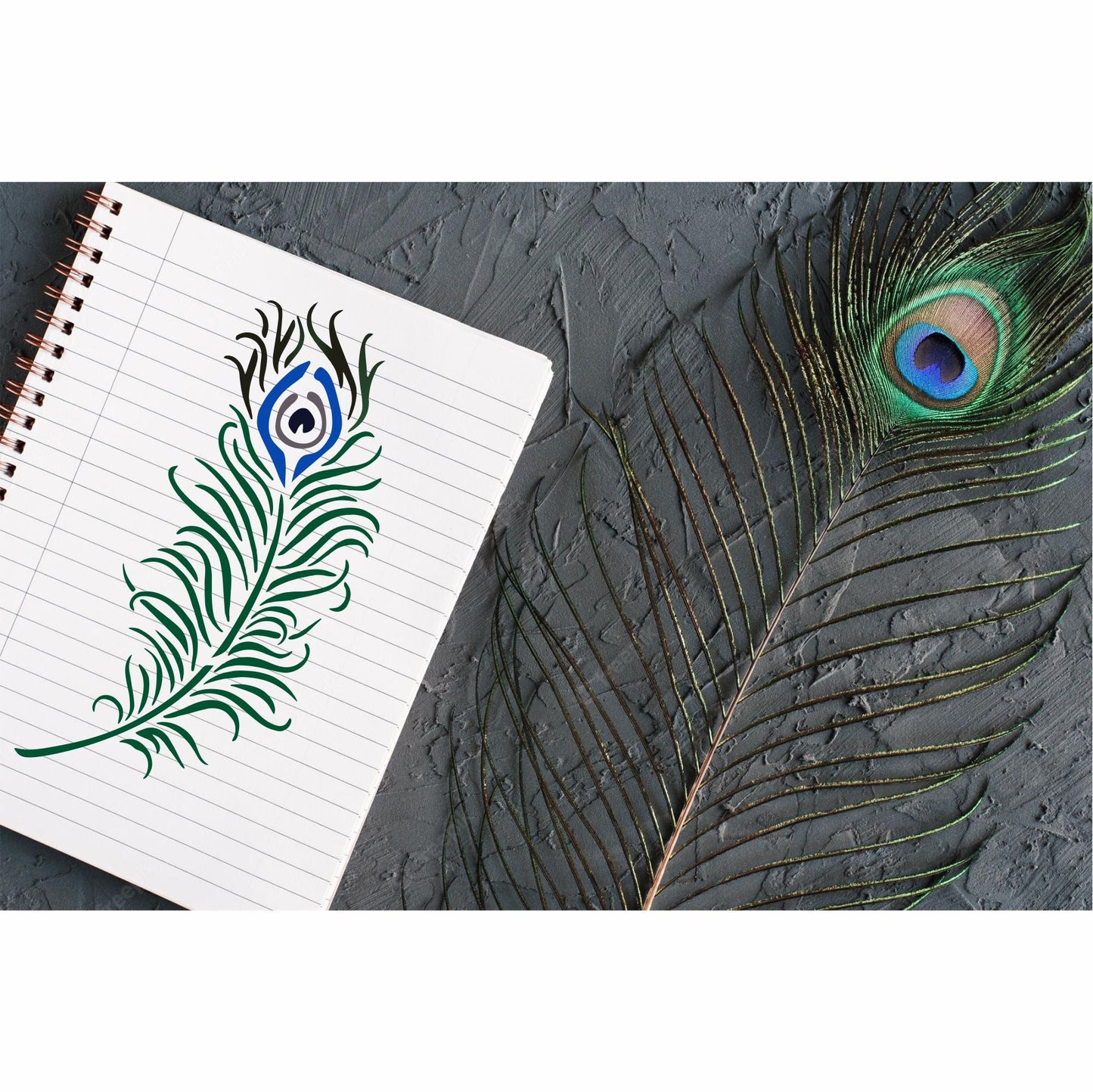 Peacock Feather Reusable Stencil For Canvas And Wall Painting.ID#471