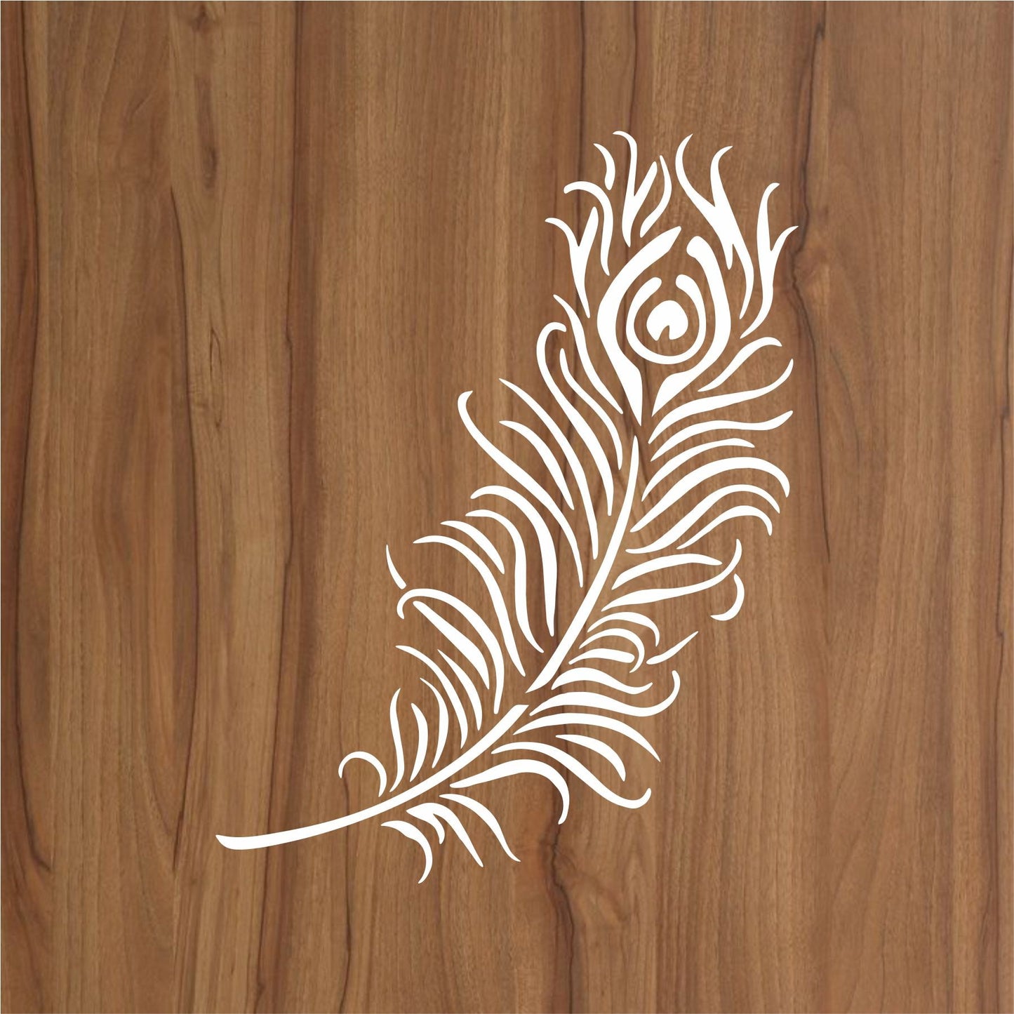 Peacock Feather Reusable Stencil For Canvas And Wall Painting.ID#471