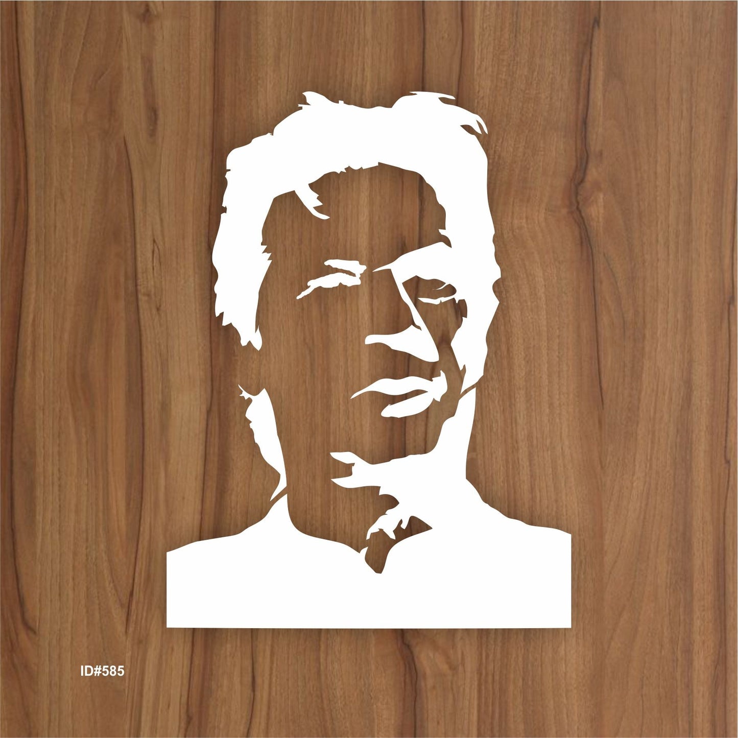 Imran khan unbreakable & reusable stencil for painting ,scrapbooking wall decoration.