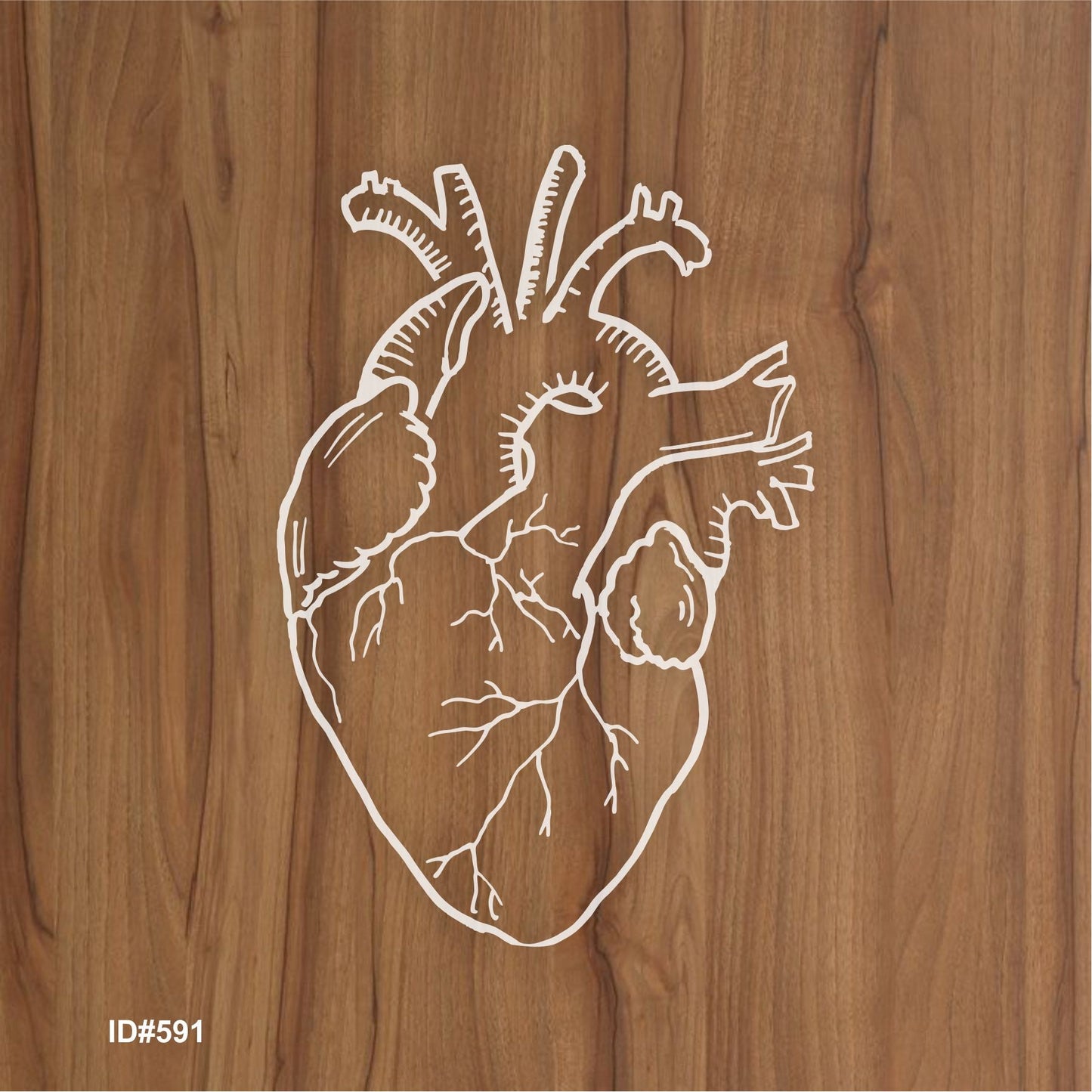 Doodle Anatomical Heart Stencil Drawing Template Embossing Craft Accessories – ID# 248