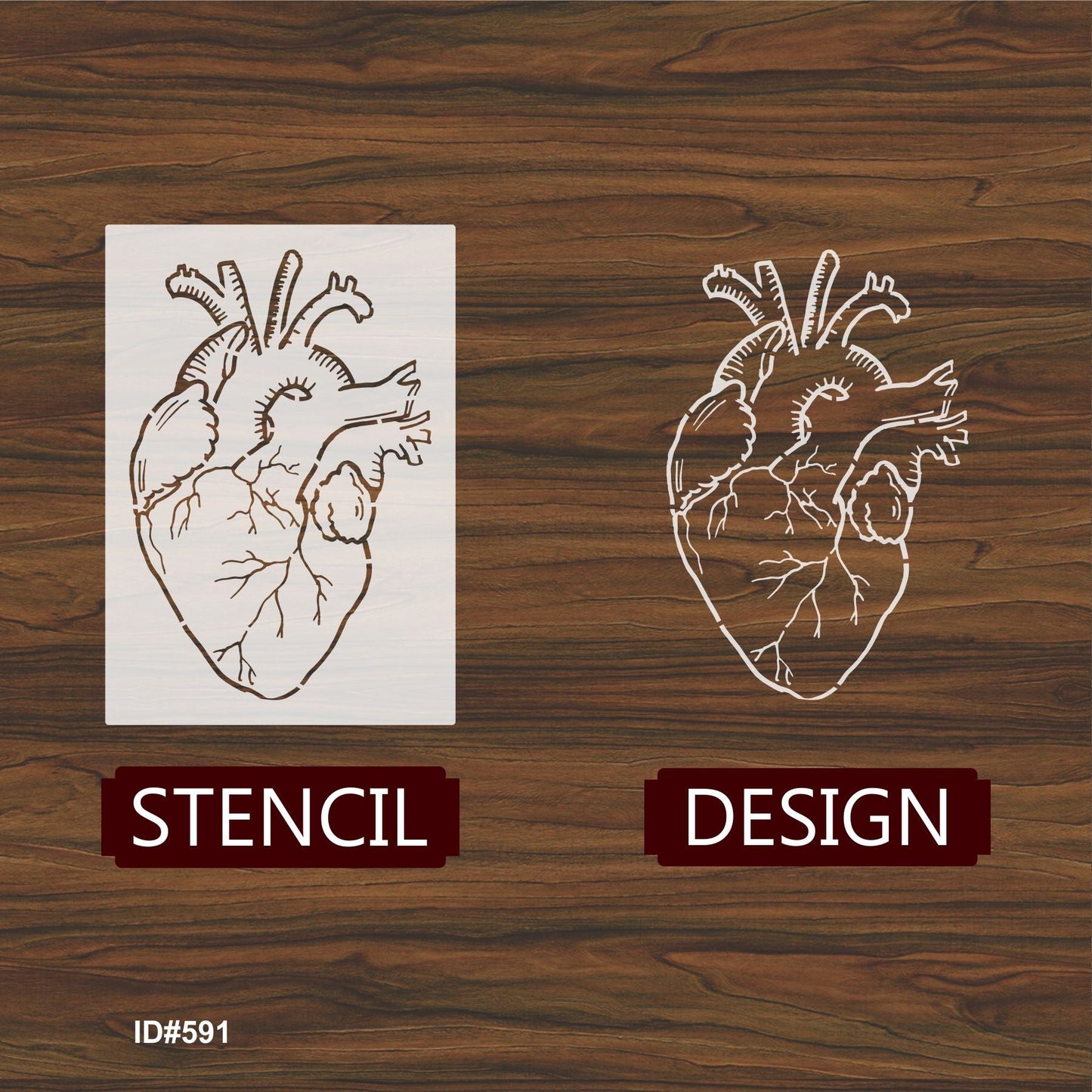Doodle Anatomical Heart Stencil Drawing Template Embossing Craft Accessories – ID# 248