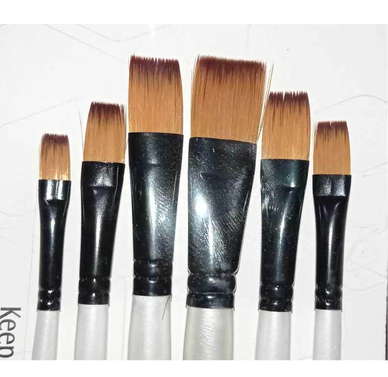 6Pcs Artist Paint Brush Set Nylon Bristles Brushes for  Watercolor Acrylic Oil Painting